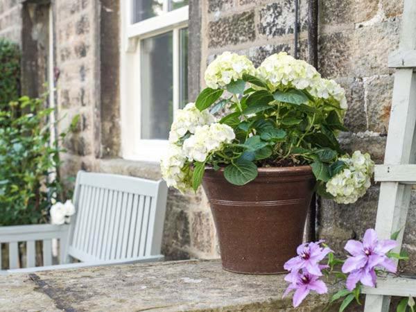Beacon Cottage Ilkley Εξωτερικό φωτογραφία